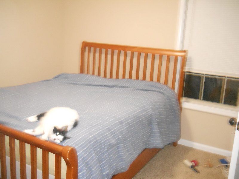 Tims Room2